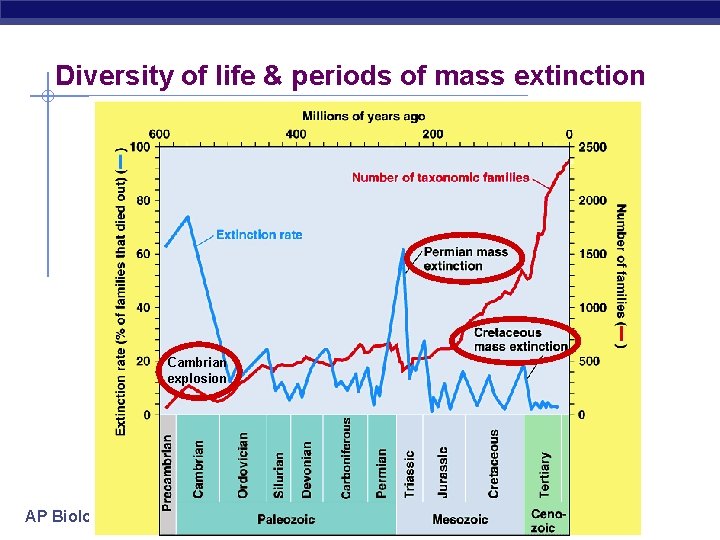 Diversity of life & periods of mass extinction Cambrian explosion AP Biology 