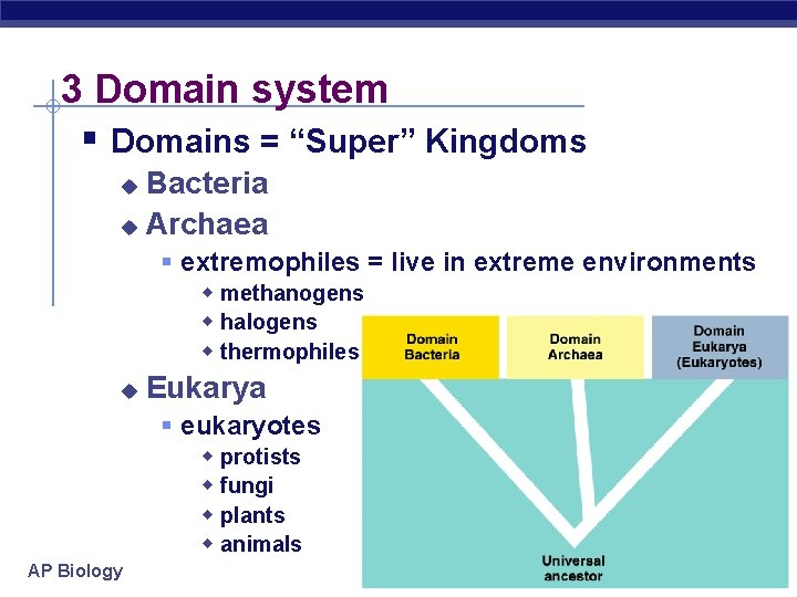 3 Domain system § Domains = “Super” Kingdoms Bacteria u Archaea u § extremophiles
