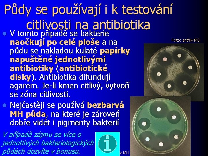 Půdy se používají i k testování citlivosti na antibiotika V tomto případě se bakterie