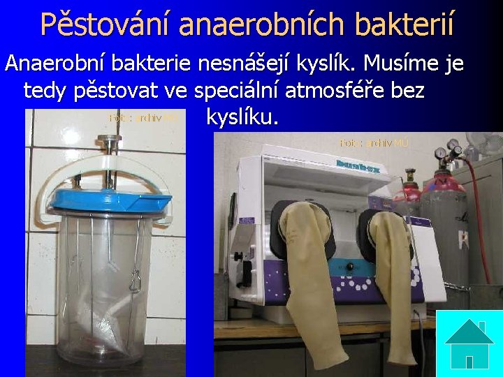 Pěstování anaerobních bakterií Anaerobní bakterie nesnášejí kyslík. Musíme je tedy pěstovat ve speciální atmosféře