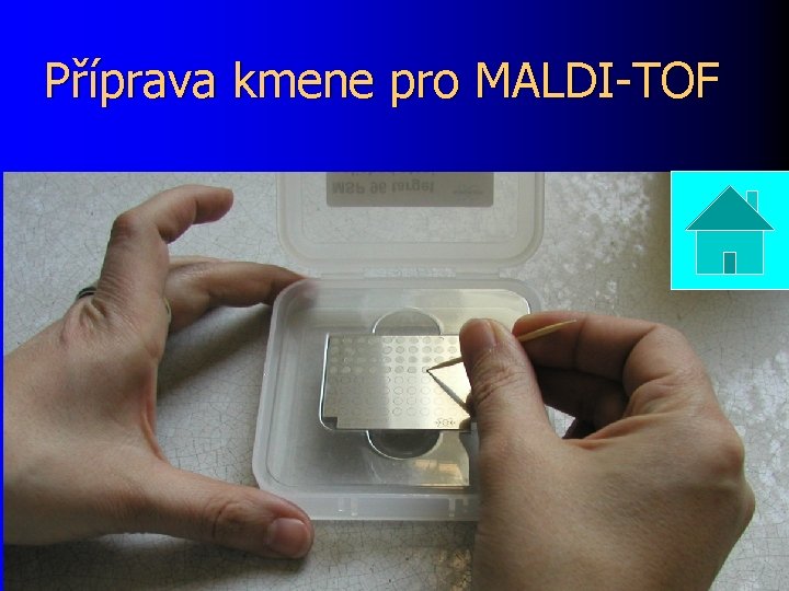 Příprava kmene pro MALDI-TOF 