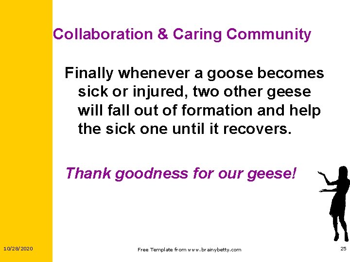 Collaboration & Caring Community Finally whenever a goose becomes sick or injured, two other Collaboration & Caring Community Finally whenever a goose becomes sick or injured, two other
