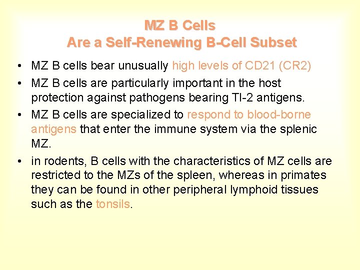 MZ B Cells Are a Self-Renewing B-Cell Subset • MZ B cells bear unusually