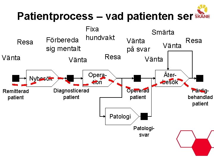 Patientprocess – vad patienten ser Resa Vänta Fixa Smärta Förbereda hundvakt Resa Vänta sig