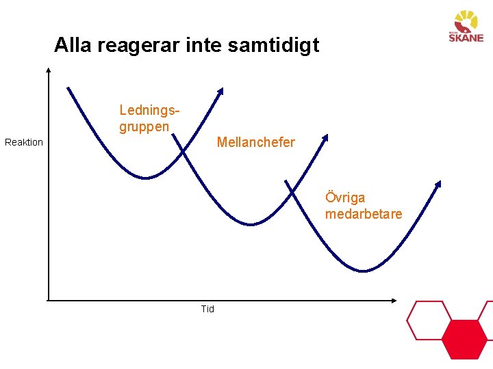 Alla reagerar inte samtidigt Ledningsgruppen Mellanchefer Reaktion Övriga medarbetare Tid 