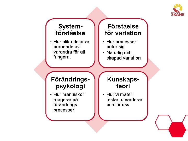 Systemförståelse Förståelse för variation • Hur olika delar är beroende av varandra för att