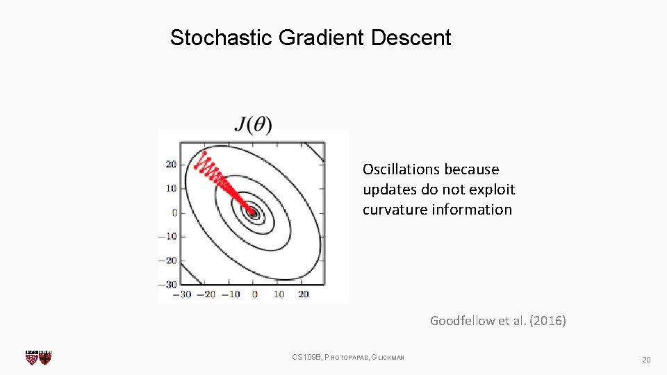 Stochastic Gradient Descent Oscillations because updates do not exploit curvature information Goodfellow et al.