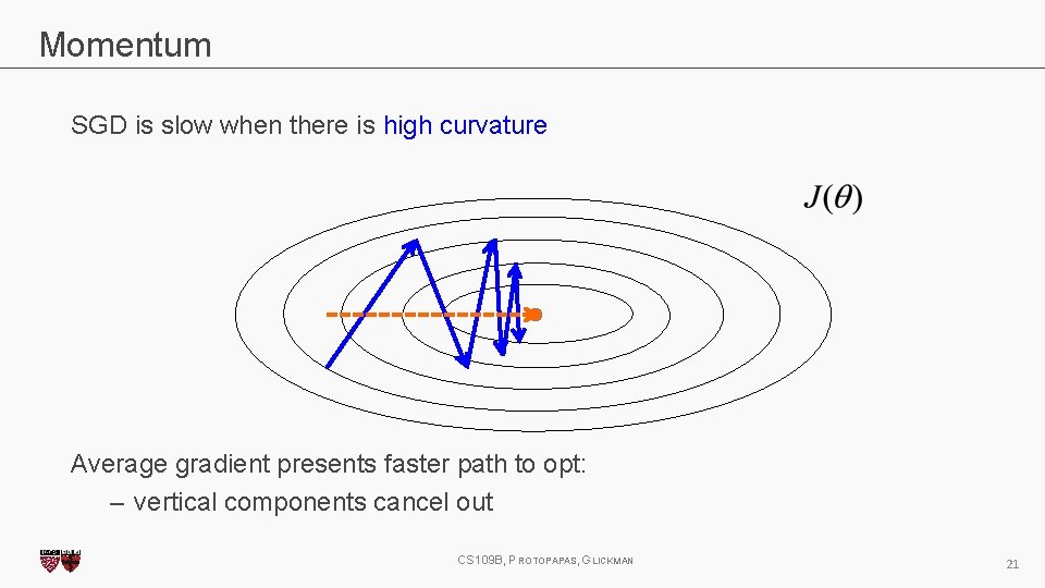 Momentum SGD is slow when there is high curvature Average gradient presents faster path
