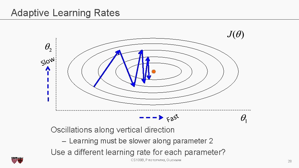Adaptive Learning Rates Slow t Fas Oscillations along vertical direction – Learning must be