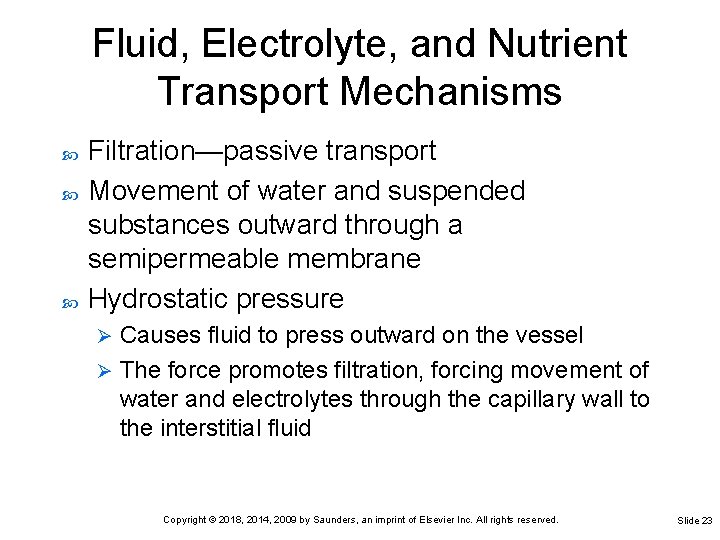 Fluid, Electrolyte, and Nutrient Transport Mechanisms Filtration—passive transport Movement of water and suspended substances