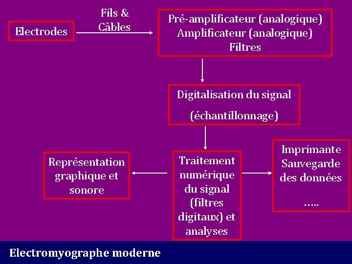 Electrodes Fils & Câbles Pré-amplificateur (analogique) Amplificateur (analogique) Filtres Digitalisation du signal (échantillonnage) Représentation