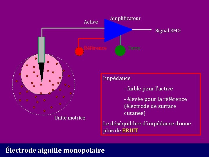 Amplificateur Active Signal EMG Référence Terre Impédance - faible pour l’active Unité motrice -