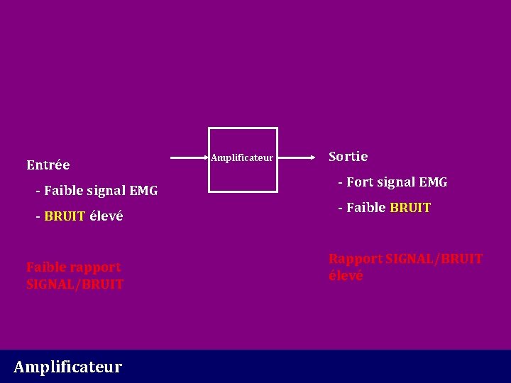 Entrée - Faible signal EMG - BRUIT élevé Faible rapport SIGNAL/BRUIT Amplificateur Sortie -