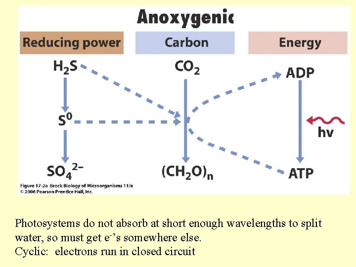 Photosystems do not absorb at short enough wavelengths to split water, so must get