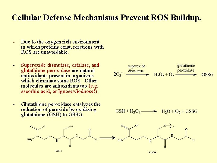 Cellular Defense Mechanisms Prevent ROS Buildup. - Due to the oxygen rich environment in