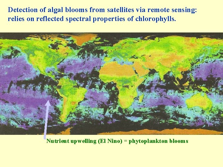 Detection of algal blooms from satellites via remote sensing: relies on reflected spectral properties