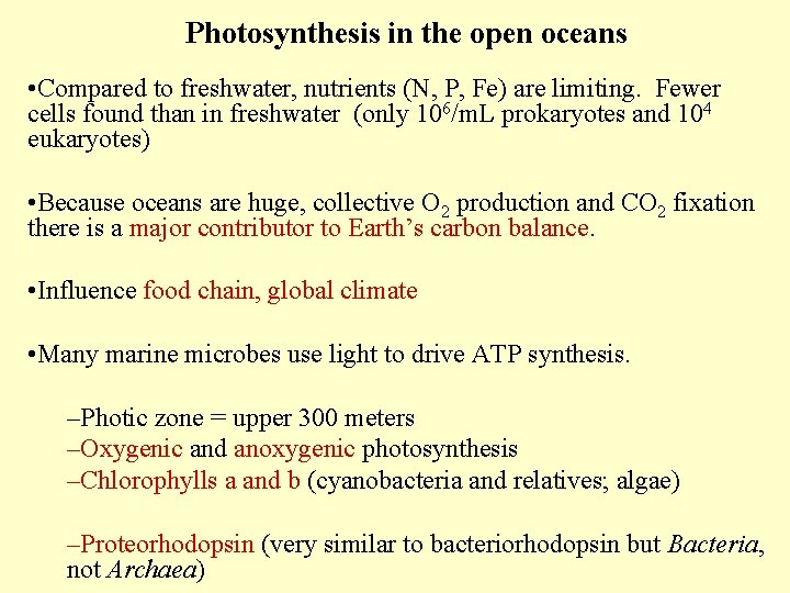 Photosynthesis in the open oceans • Compared to freshwater, nutrients (N, P, Fe) are