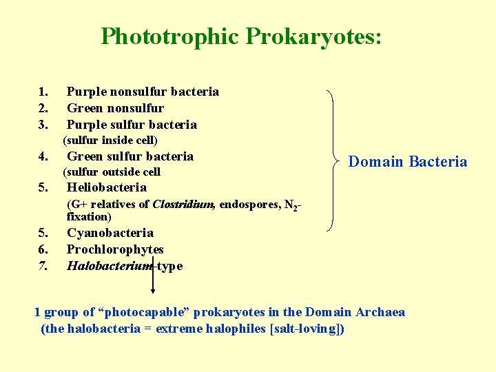 Phototrophic Prokaryotes: 1. 2. 3. Purple nonsulfur bacteria Green nonsulfur Purple sulfur bacteria (sulfur