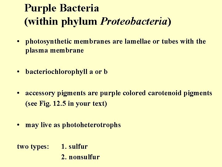 Purple Bacteria (within phylum Proteobacteria) • photosynthetic membranes are lamellae or tubes with the