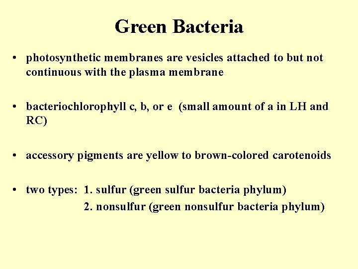 Green Bacteria • photosynthetic membranes are vesicles attached to but not continuous with the