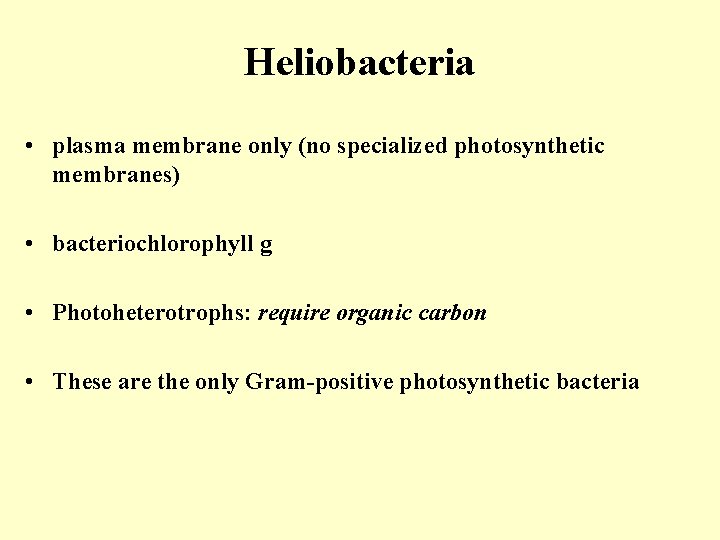 Heliobacteria • plasma membrane only (no specialized photosynthetic membranes) • bacteriochlorophyll g • Photoheterotrophs: