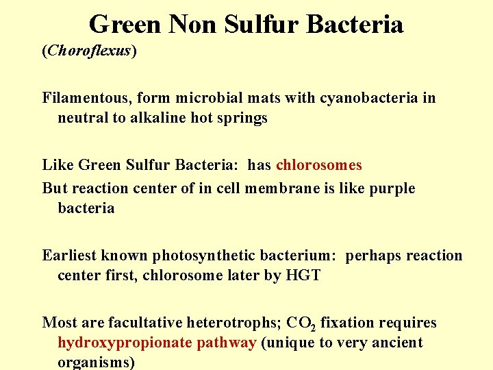 Green Non Sulfur Bacteria (Choroflexus) Filamentous, form microbial mats with cyanobacteria in neutral to