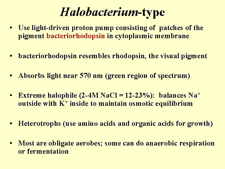 Halobacterium-type • Use light-driven proton pump consisting of patches of the pigment bacteriorhodopsin in