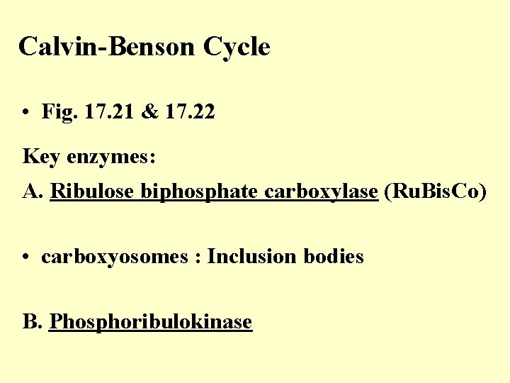 Calvin-Benson Cycle • Fig. 17. 21 & 17. 22 Key enzymes: A. Ribulose biphosphate