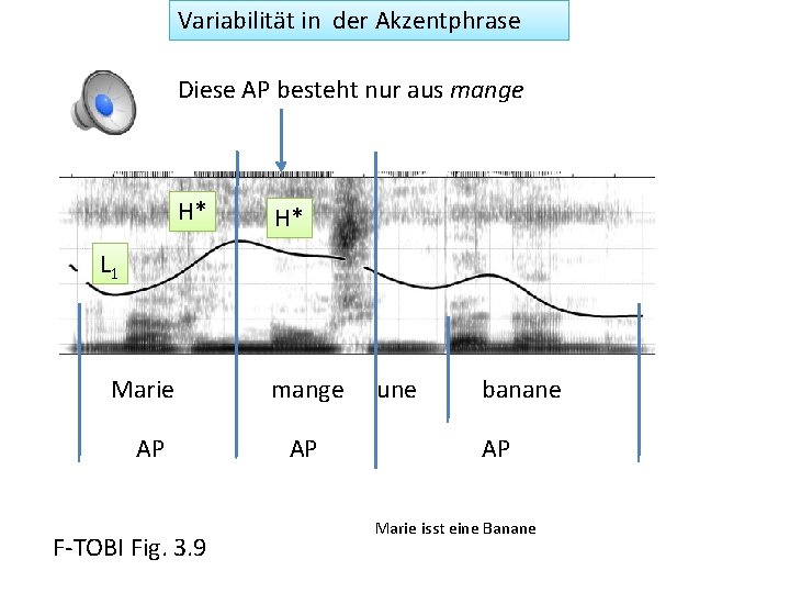 Variabilität in der Akzentphrase Diese AP besteht nur aus mange H* H* L 1