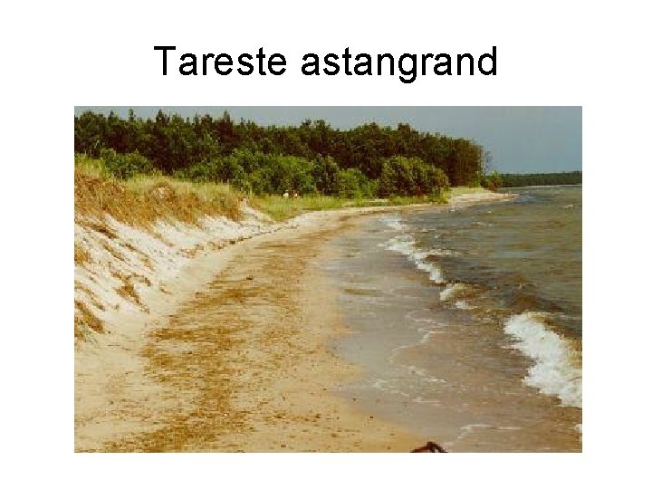 Tareste astangrand 