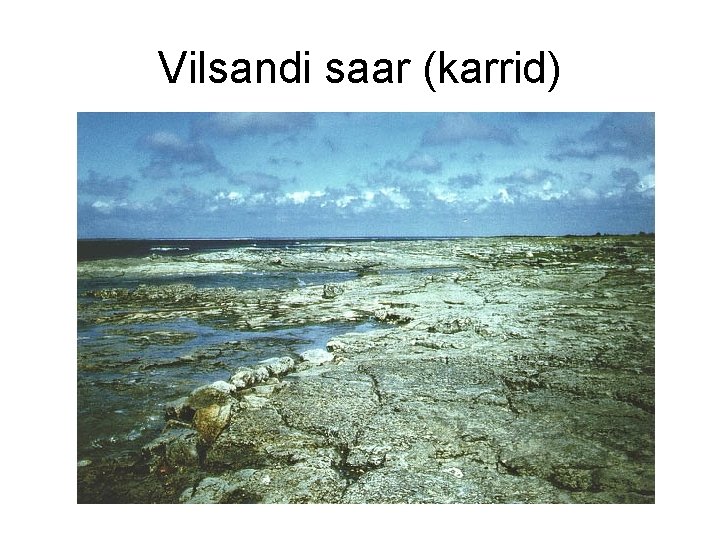 Vilsandi saar (karrid) 