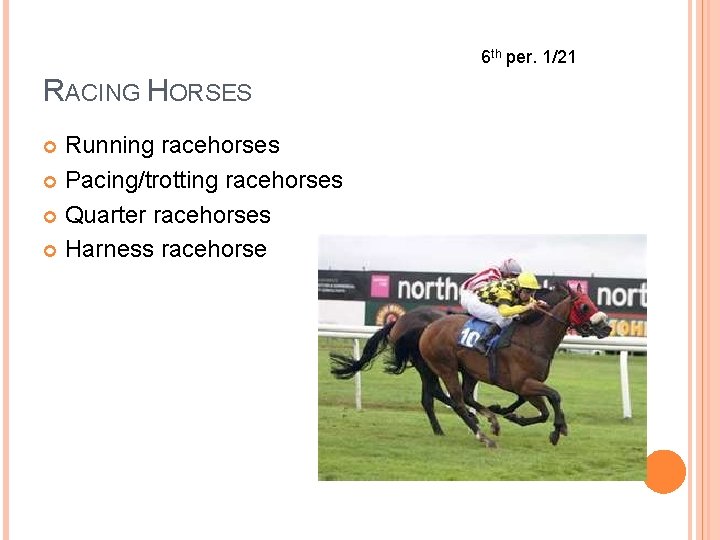 6 th per. 1/21 RACING HORSES Running racehorses Pacing/trotting racehorses Quarter racehorses Harness racehorse