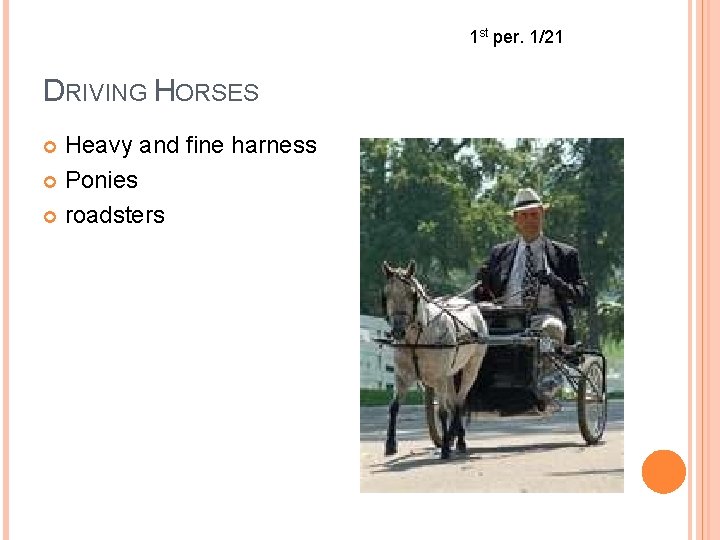 1 st per. 1/21 DRIVING HORSES Heavy and fine harness Ponies roadsters 