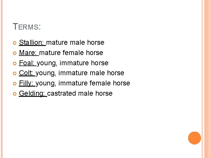 TERMS: Stallion: mature male horse Mare: mature female horse Foal: young, immature horse Colt: