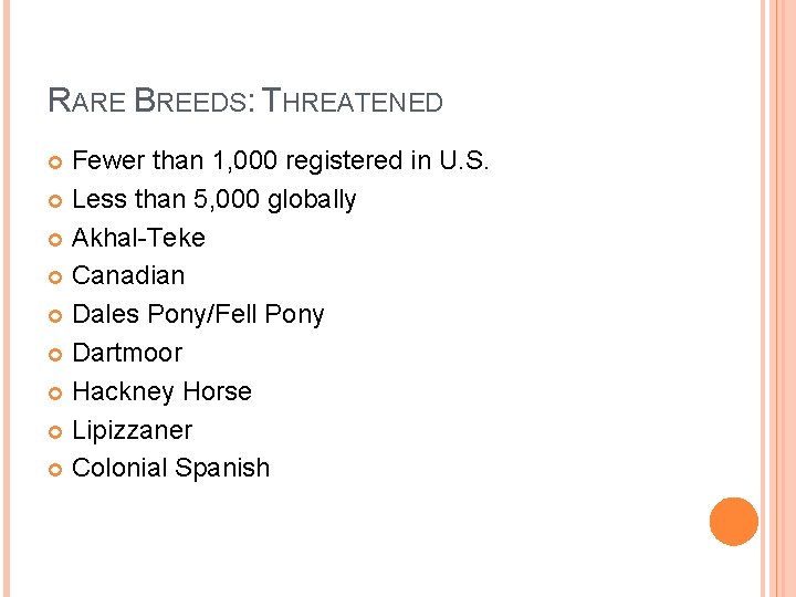 RARE BREEDS: THREATENED Fewer than 1, 000 registered in U. S. Less than 5,