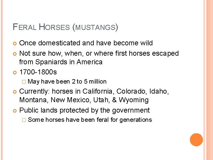 FERAL HORSES (MUSTANGS) Once domesticated and have become wild Not sure how, when, or