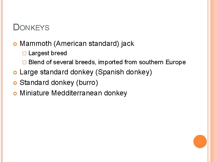 DONKEYS Mammoth (American standard) jack � Largest breed � Blend of several breeds, imported