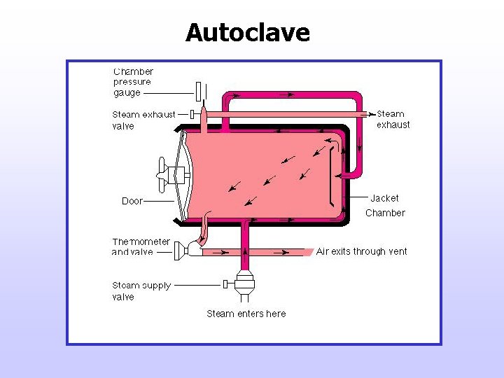 Autoclave 