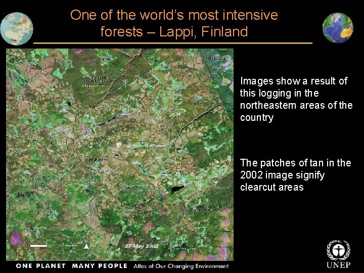 One of the world’s most intensive forests – Lappi, Finland Images show a result