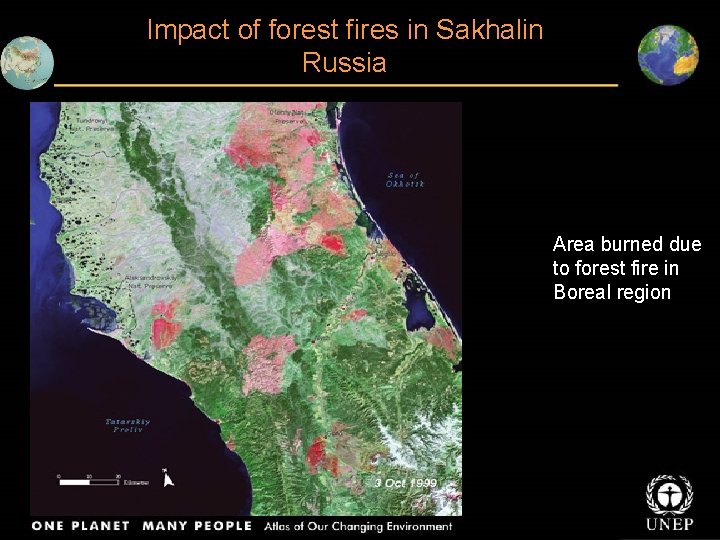 Impact of forest fires in Sakhalin Russia Area burned due to forest fire in
