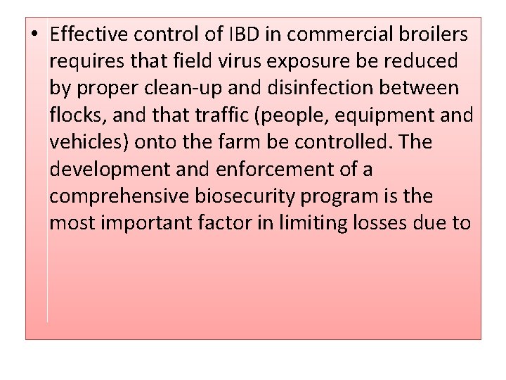  • Effective control of IBD in commercial broilers requires that field virus exposure