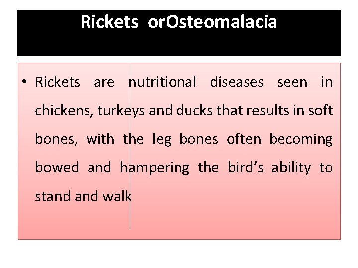 Rickets or. Osteomalacia • Rickets are nutritional diseases seen in chickens, turkeys and ducks
