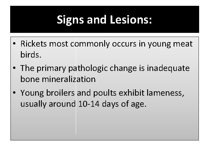 Signs and Lesions: • Rickets most commonly occurs in young meat birds. • The