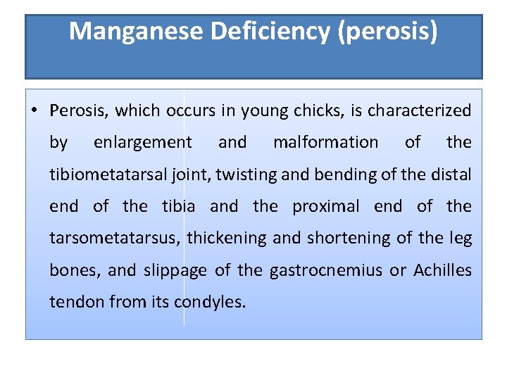 Manganese Deficiency (perosis) • Perosis, which occurs in young chicks, is characterized by enlargement