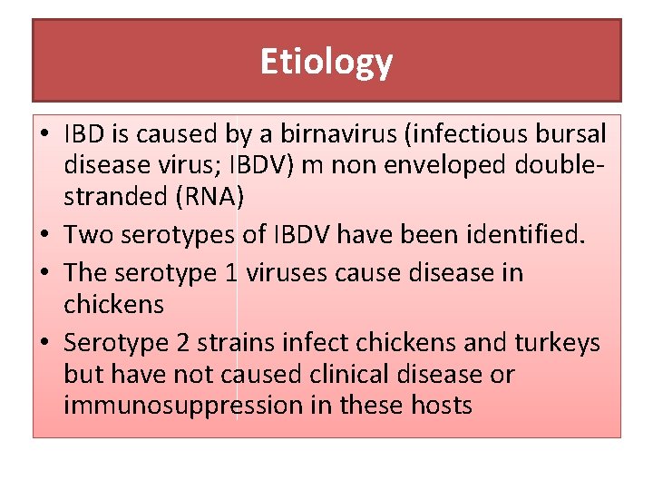 Etiology • IBD is caused by a birnavirus (infectious bursal disease virus; IBDV) m