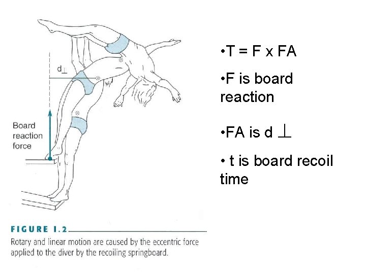  • T = F x FA • F is board reaction • FA