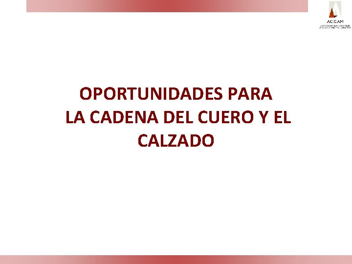 OPORTUNIDADES PARA LA CADENA DEL CUERO Y EL CALZADO 