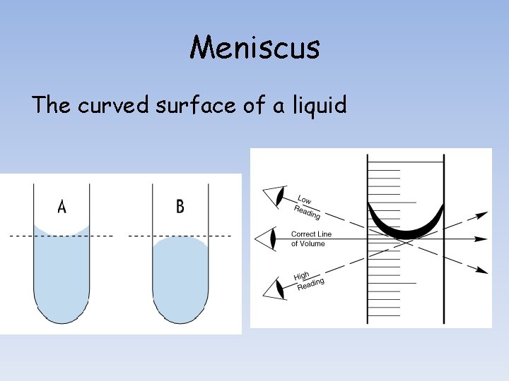 Meniscus The curved surface of a liquid 