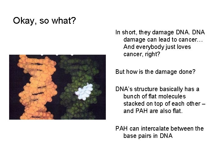 Okay, so what? In short, they damage DNA damage can lead to cancer… And