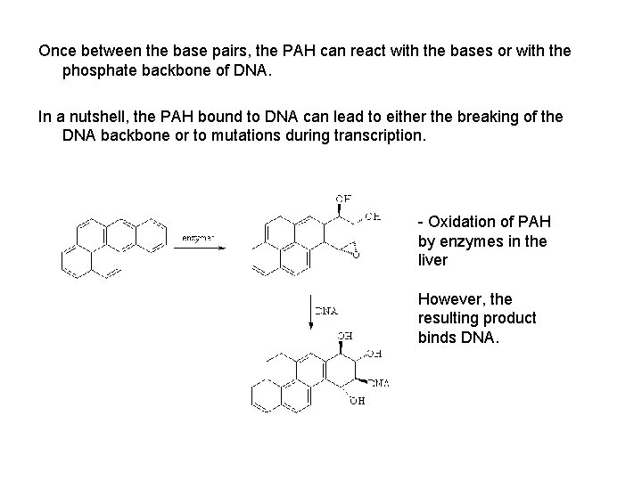 Once between the base pairs, the PAH can react with the bases or with